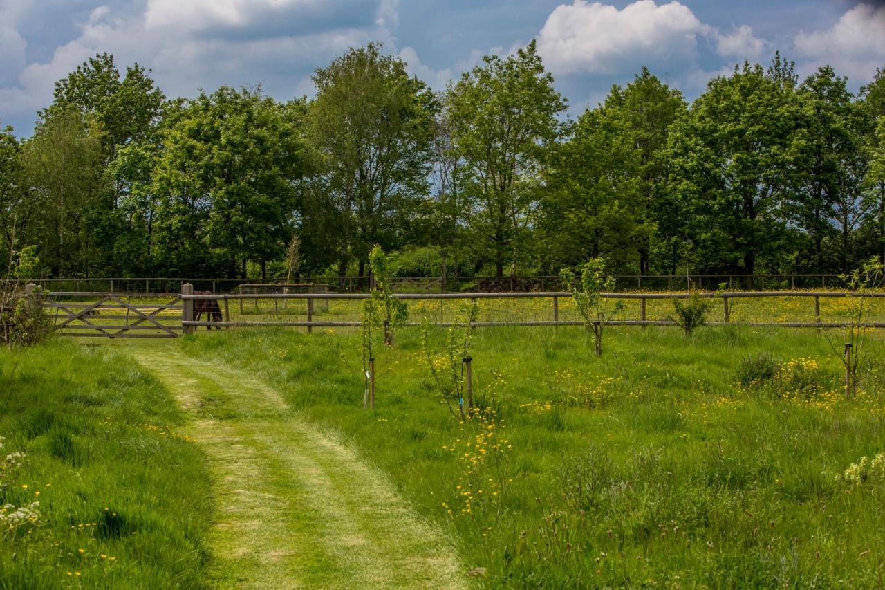 The Cowsheds Villa Brinkworth Exterior photo